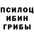 Галлюциногенные грибы GOLDEN TEACHER Ehnchor