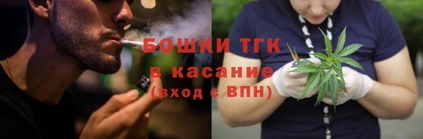 сатива Наволоки
