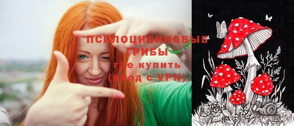сатива Наволоки