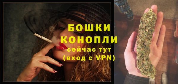 сатива Наволоки