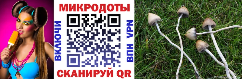 Псилоцибиновые грибы MAGIC MUSHROOMS  Костерёво 